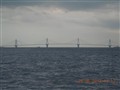 263r.jpg