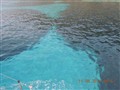 DSCN0128r.jpg