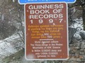 DSCN1068r.jpg